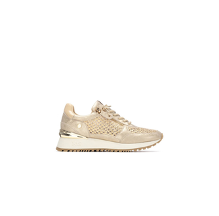 Zipper Trainer | Gold